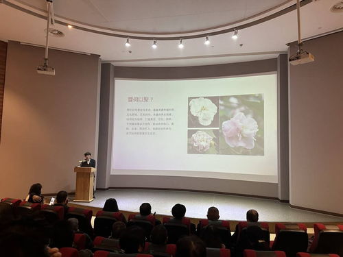 首届芙蓉文化学术交流活动在蓉城隆重启幕，共绘文化繁荣新图景